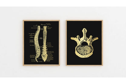 Gold Spinal Cord Art Print Set: Modern Chiropractic Office Decor