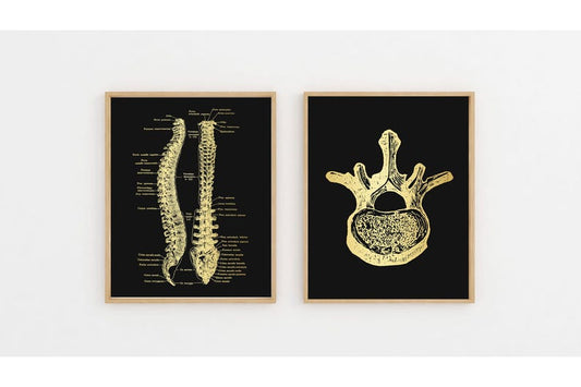 Gold Spinal Cord Art Print Set: Modern Chiropractic Office Decor