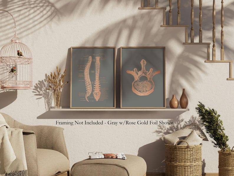 Gold Spinal Cord Art Print Set: Modern Chiropractic Office Decor