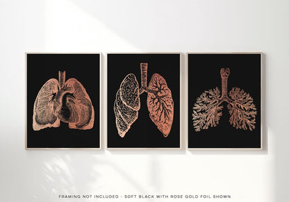 3 Piece Lung Art Set: Gold Foil Pulmonologist Gift