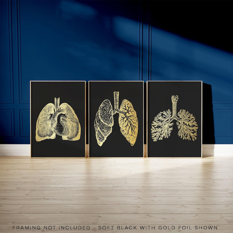 3 Piece Lung Art Set: Gold Foil Pulmonologist Gift