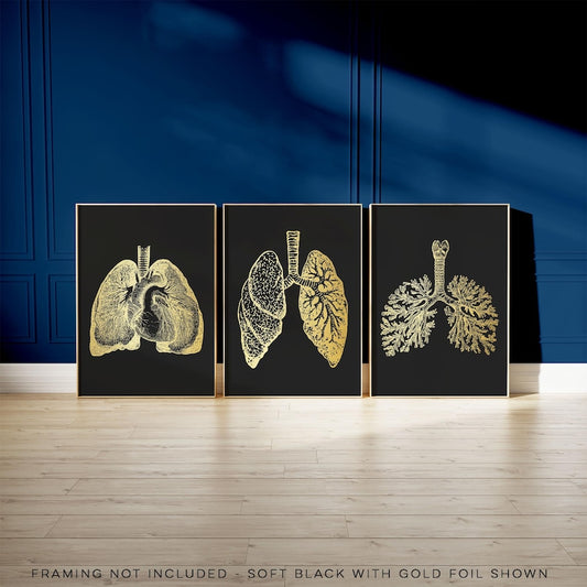 3 Piece Lung Art Set: Gold Foil Pulmonologist Gift