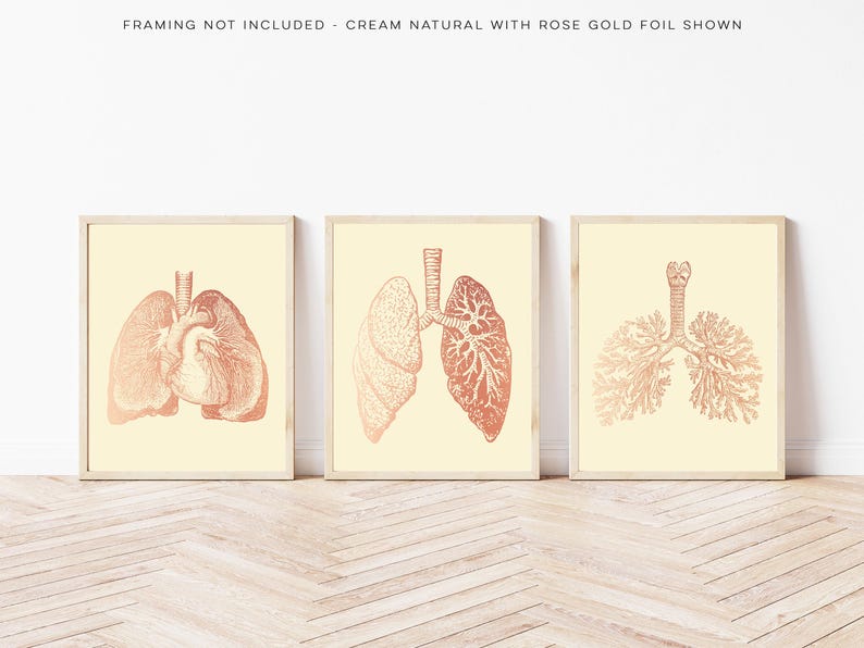 3 Piece Lung Art Set: Gold Foil Pulmonologist Gift