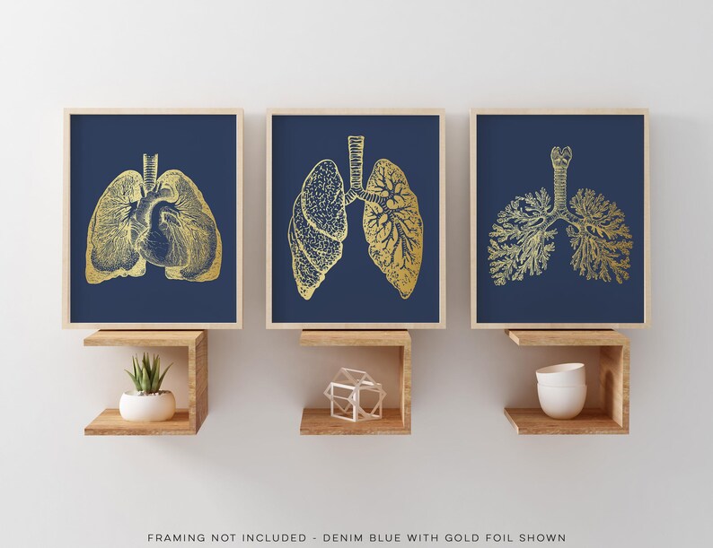 3 Piece Lung Art Set: Gold Foil Pulmonologist Gift